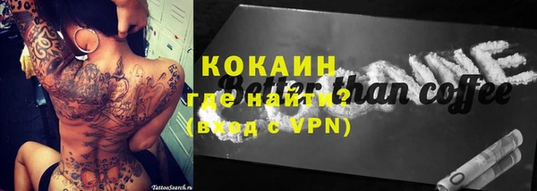 прущий лед Алзамай