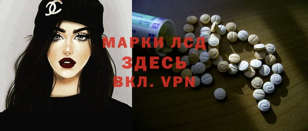 прущий лед Алзамай