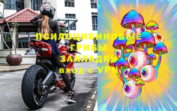 прущий лед Алзамай